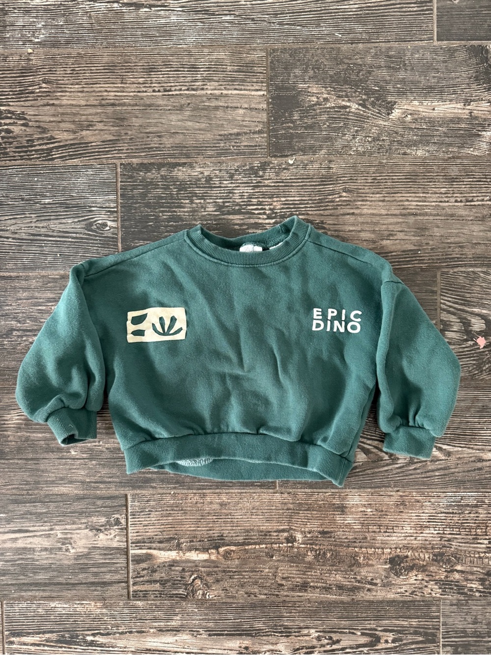 Zara Green 'Epic Dino' Crewneck Sweatshirt